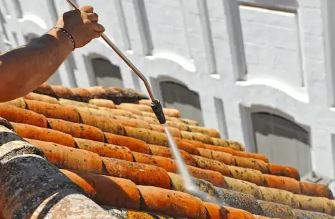 Nettoyage de toitures - Raizeux